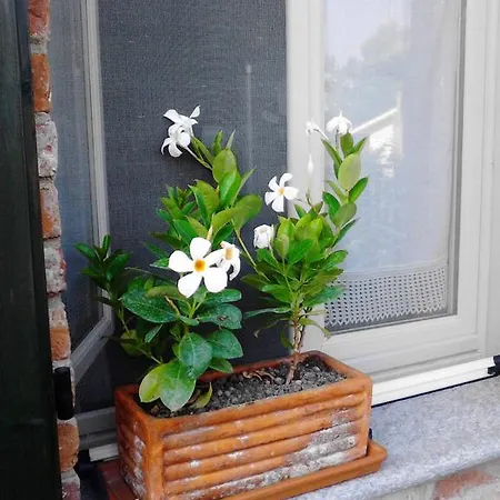 Alojamento de Acomodação e Pequeno-almoço Arziga